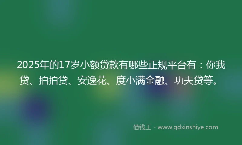 2025年的17岁小额贷款有哪些正规平台有：你我贷、拍拍贷、安逸花、度小满金融、功夫贷等。