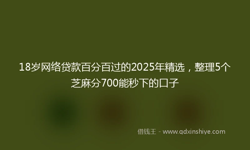 18岁网络贷款百分百过的2025年精选，整理5个芝麻分700能秒下的口子
