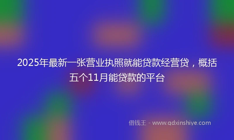 2025年最新一张营业执照就能贷款经营贷，概括五个11月能贷款的平台