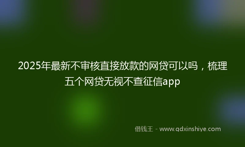 2025年最新不审核直接放款的网贷可以吗，梳理五个网贷无视不查征信app
