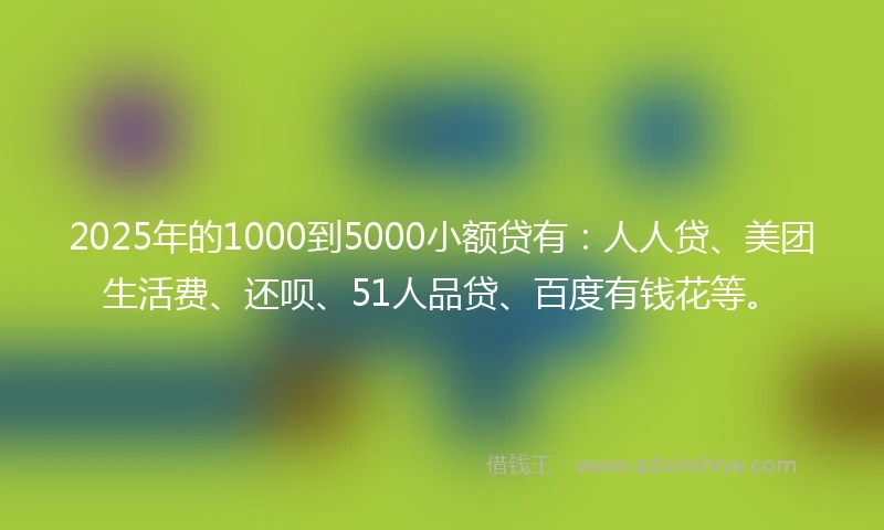 2025年的1000到5000小额贷有：人人贷、美团生活费、还呗、51人品贷、百度有钱花等。