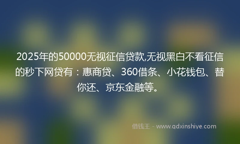 2025年的50000无视征信贷款,无视黑白不看征信的秒下网贷有：惠商贷、360借条、小花钱包、替你还、京东金融等。