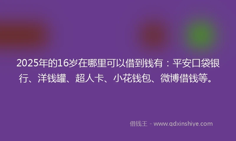 2025年的16岁在哪里可以借到钱有：平安口袋银行、洋钱罐、超人卡、小花钱包、微博借钱等。