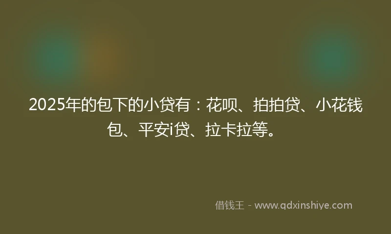 2025年的包下的小贷有：花呗、拍拍贷、小花钱包、平安i贷、拉卡拉等。