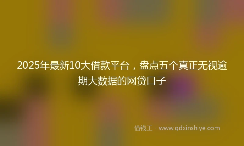 2025年最新10大借款平台，盘点五个真正无视逾期大数据的网贷口子