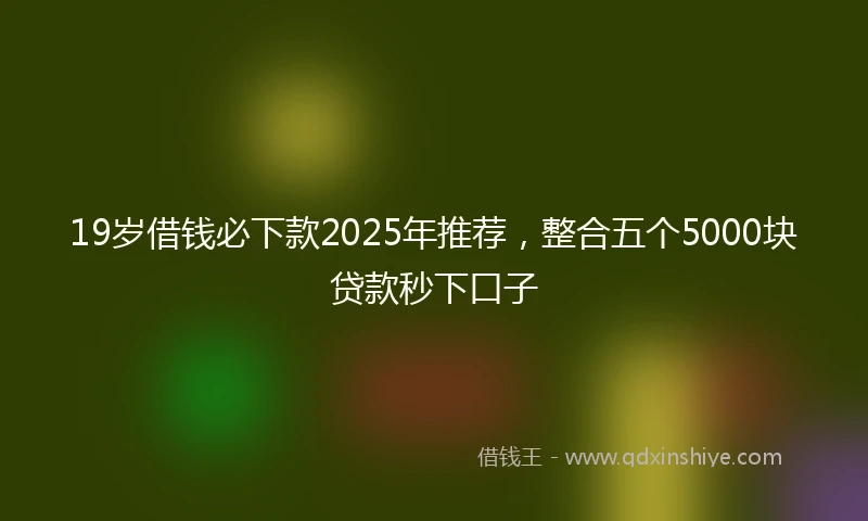 19岁借钱必下款2025年推荐，整合五个5000块贷款秒下口子