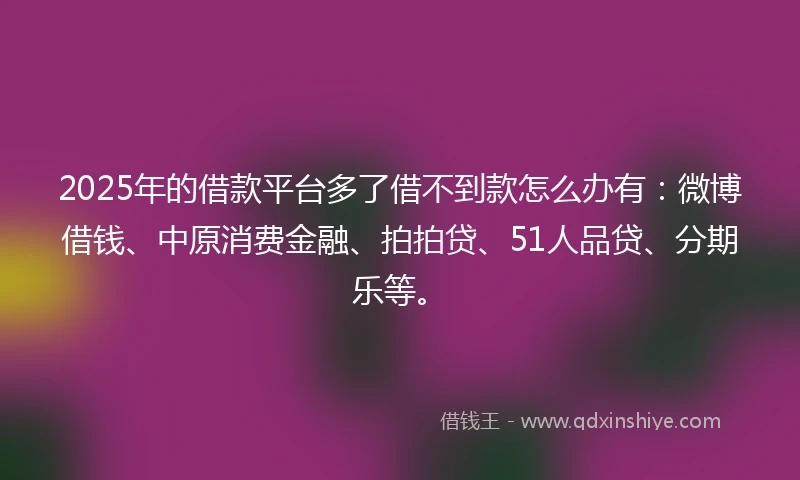 2025年的借款平台多了借不到款怎么办有：微博借钱、中原消费金融、拍拍贷、51人品贷、分期乐等。