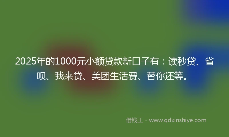2025年的1000元小额贷款新口子有：读秒贷、省呗、我来贷、美团生活费、替你还等。