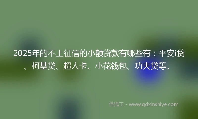 2025年的不上征信的小额贷款有哪些有：平安i贷、柯基贷、超人卡、小花钱包、功夫贷等。