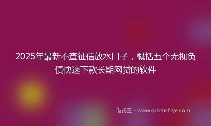 2025年最新不查征信放水口子，概括五个无视负债快速下款长期网贷的软件