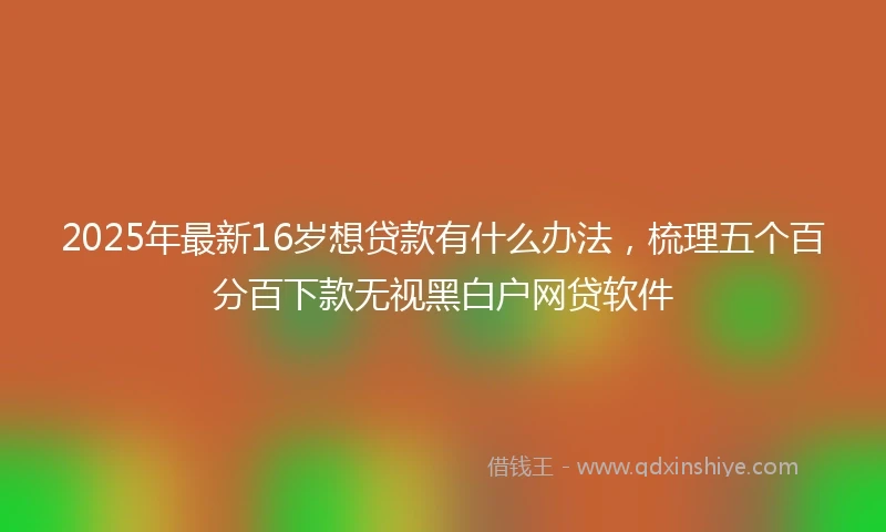 2025年最新16岁想贷款有什么办法，梳理五个百分百下款无视黑白户网贷软件