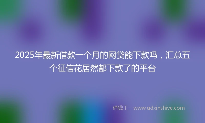 2025年最新借款一个月的网贷能下款吗，汇总五个征信花居然都下款了的平台