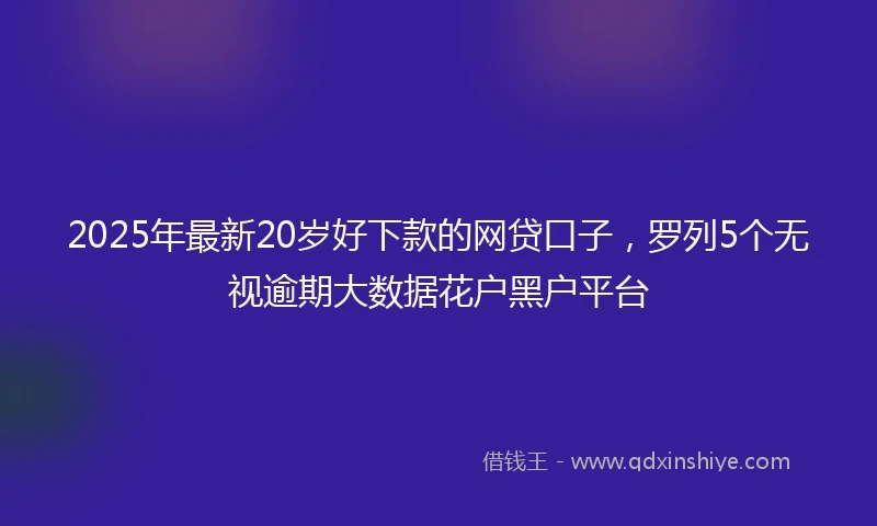 2025年最新20岁好下款的网贷口子，罗列5个无视逾期大数据花户黑户平台