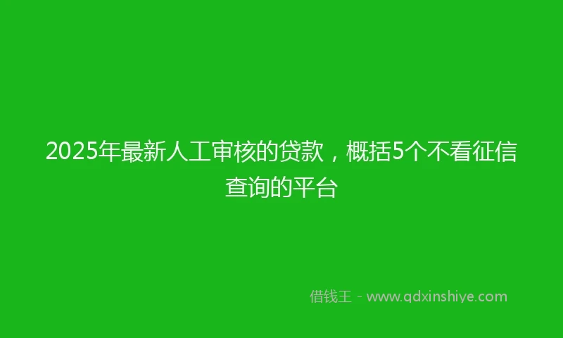 2025年最新人工审核的贷款，概括5个不看征信查询的平台