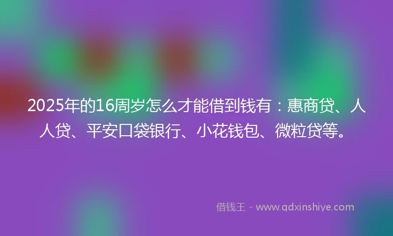 2025年的16周岁怎么才能借到钱有：惠商贷、人人贷、平安口袋银行、小花钱包、微粒贷等。