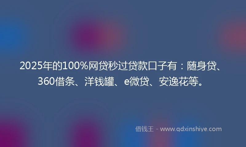 2025年的100%网贷秒过贷款口子有：随身贷、360借条、洋钱罐、e微贷、安逸花等。