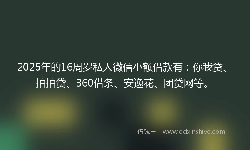 2025年的16周岁私人微信小额借款有：你我贷、拍拍贷、360借条、安逸花、团贷网等。