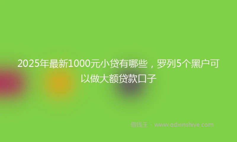 2025年最新1000元小贷有哪些，罗列5个黑户可以做大额贷款口子