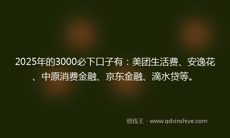 2025年的3000必下口子有：美团生活费、安逸花、中原消费金融、京东金融、滴水贷等。