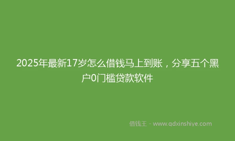 2025年最新17岁怎么借钱马上到账，分享五个黑户0门槛贷款软件