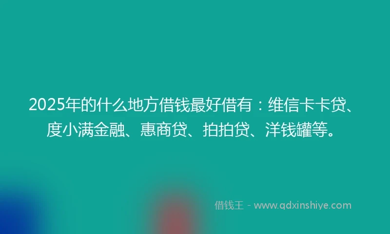 2025年的什么地方借钱最好借有：维信卡卡贷、度小满金融、惠商贷、拍拍贷、洋钱罐等。
