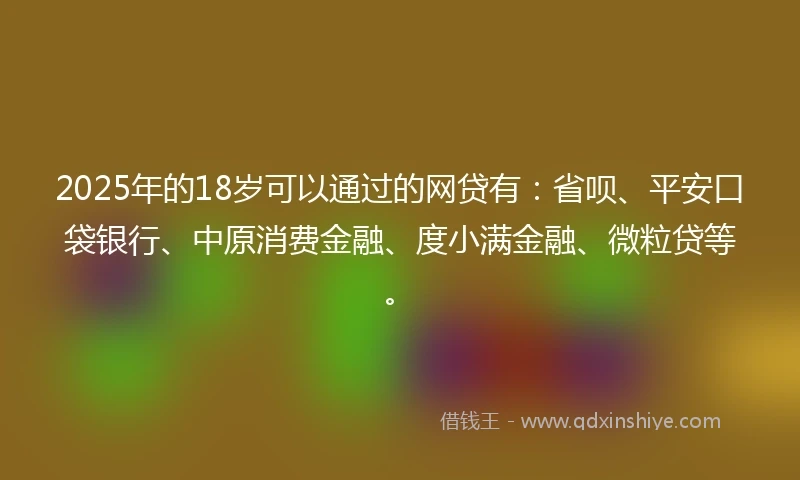 2025年的18岁可以通过的网贷有：省呗、平安口袋银行、中原消费金融、度小满金融、微粒贷等。