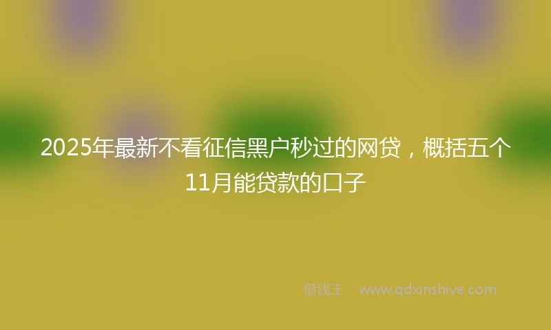 2025年最新不看征信黑户秒过的网贷，概括五个11月能贷款的口子