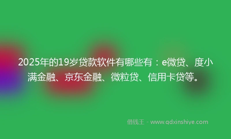2025年的19岁贷款软件有哪些有：e微贷、度小满金融、京东金融、微粒贷、信用卡贷等。
