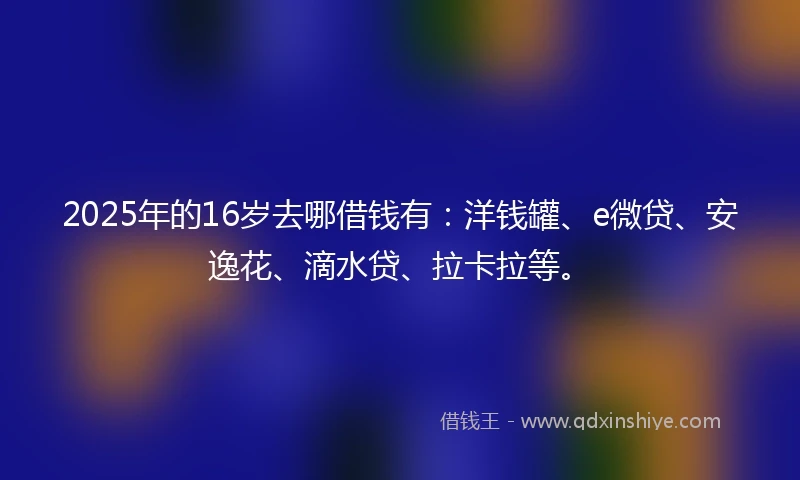 2025年的16岁去哪借钱有：洋钱罐、e微贷、安逸花、滴水贷、拉卡拉等。
