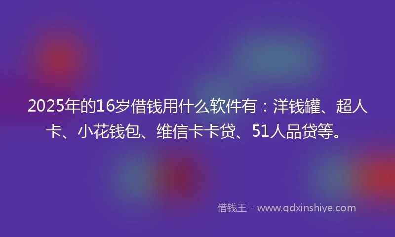 2025年的16岁借钱用什么软件有：洋钱罐、超人卡、小花钱包、维信卡卡贷、51人品贷等。