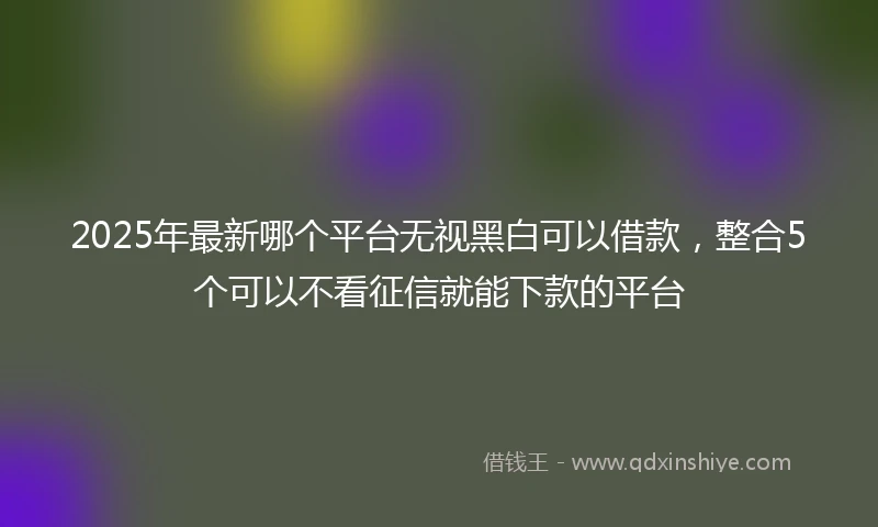 2025年最新哪个平台无视黑白可以借款，整合5个可以不看征信就能下款的平台
