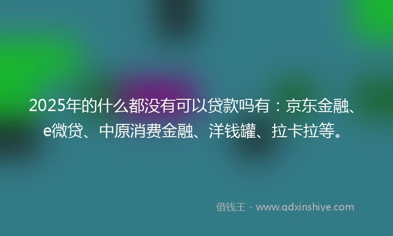 2025年的什么都没有可以贷款吗有：京东金融、e微贷、中原消费金融、洋钱罐、拉卡拉等。