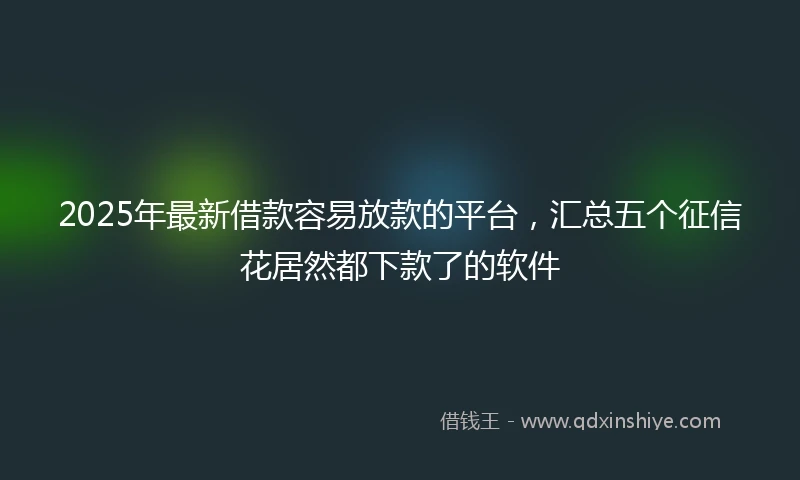 2025年最新借款容易放款的平台，汇总五个征信花居然都下款了的软件