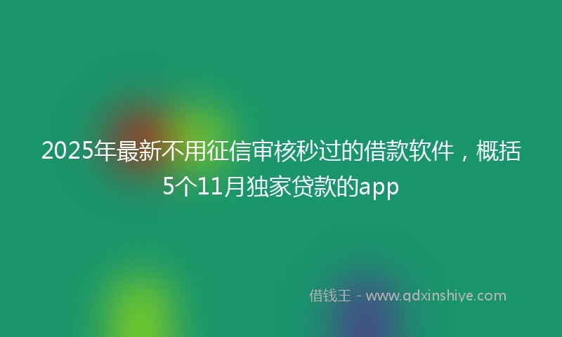2025年最新不用征信审核秒过的借款软件，概括5个11月独家贷款的app
