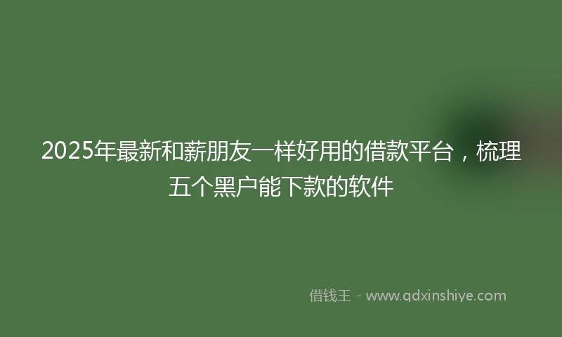 2025年最新和薪朋友一样好用的借款平台，梳理五个黑户能下款的软件