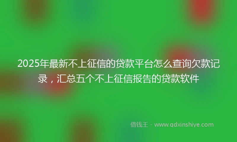 2025年最新不上征信的贷款平台怎么查询欠款记录，汇总五个不上征信报告的贷款软件