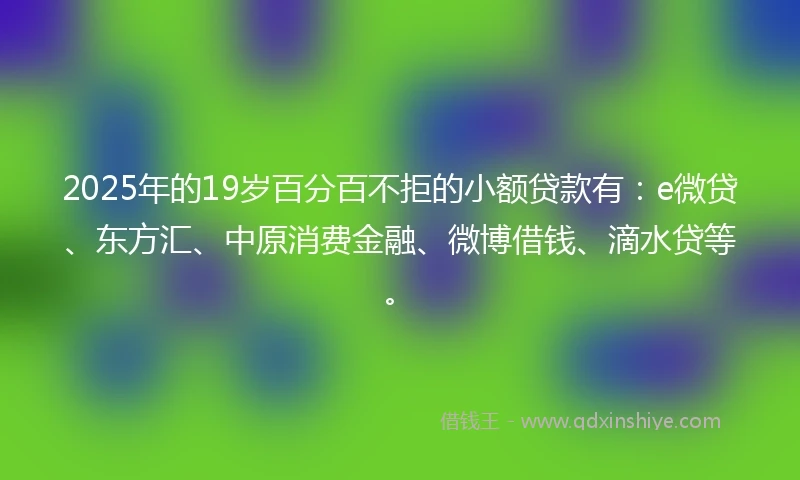 2025年的19岁百分百不拒的小额贷款有：e微贷、东方汇、中原消费金融、微博借钱、滴水贷等。