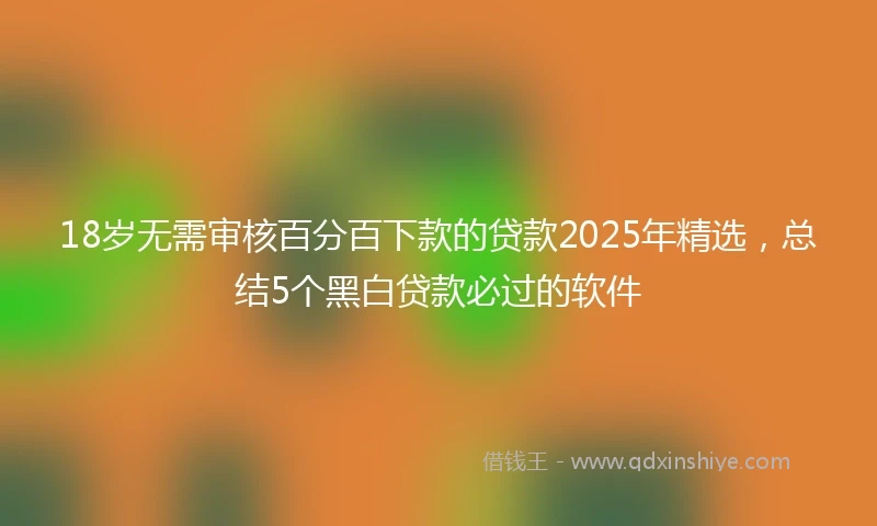 18岁无需审核百分百下款的贷款2025年精选，总结5个黑白贷款必过的软件