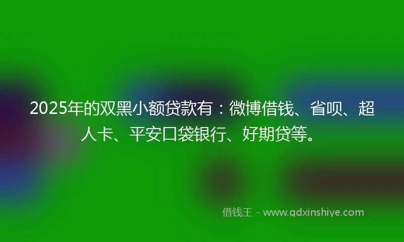 2025年的双黑小额贷款有：微博借钱、省呗、超人卡、平安口袋银行、好期贷等。