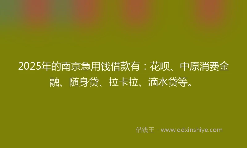 2025年的南京急用钱借款有：花呗、中原消费金融、随身贷、拉卡拉、滴水贷等。
