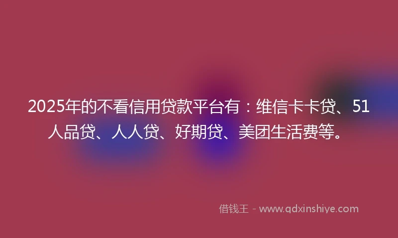 2025年的不看信用贷款平台有：维信卡卡贷、51人品贷、人人贷、好期贷、美团生活费等。