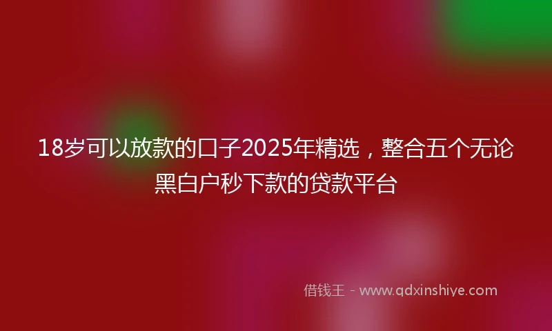 18岁可以放款的口子2025年精选，整合五个无论黑白户秒下款的贷款平台