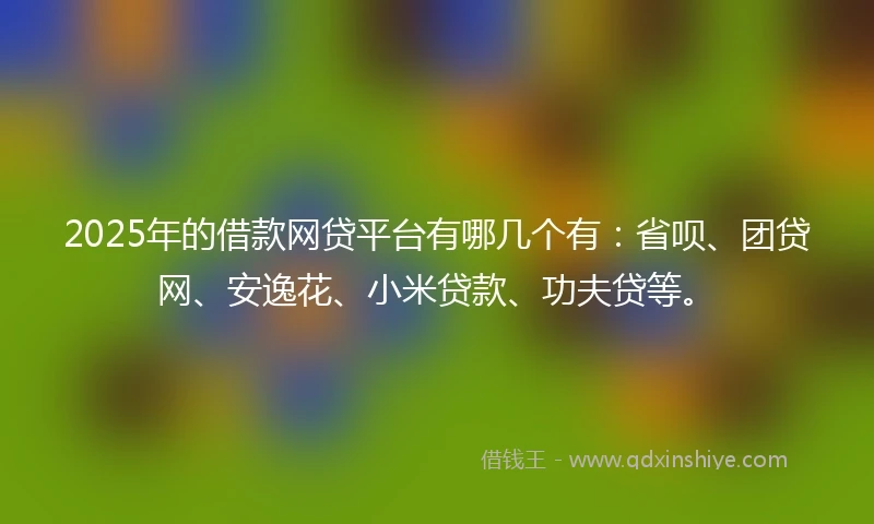 2025年的借款网贷平台有哪几个有：省呗、团贷网、安逸花、小米贷款、功夫贷等。
