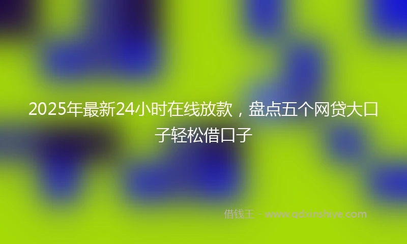 2025年最新24小时在线放款，盘点五个网贷大口子轻松借口子
