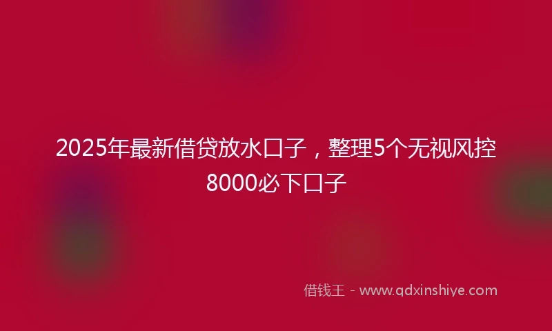 2025年最新借贷放水口子，整理5个无视风控8000必下口子