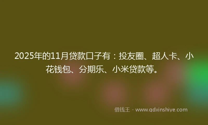 2025年的11月贷款口子有：投友圈、超人卡、小花钱包、分期乐、小米贷款等。