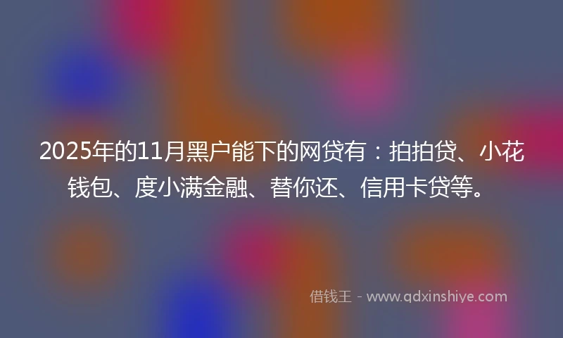 2025年的11月黑户能下的网贷有：拍拍贷、小花钱包、度小满金融、替你还、信用卡贷等。