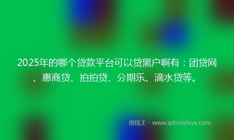 2025年的哪个贷款平台可以贷黑户啊有：团贷网、惠商贷、拍拍贷、分期乐、滴水贷等。