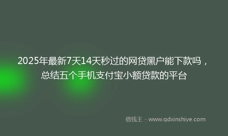 2025年最新7天14天秒过的网贷黑户能下款吗，总结五个手机支付宝小额贷款的平台