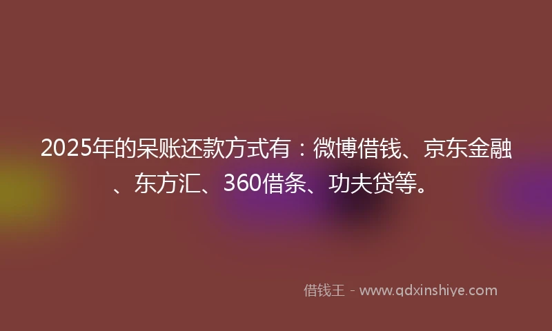2025年的呆账还款方式有：微博借钱、京东金融、东方汇、360借条、功夫贷等。